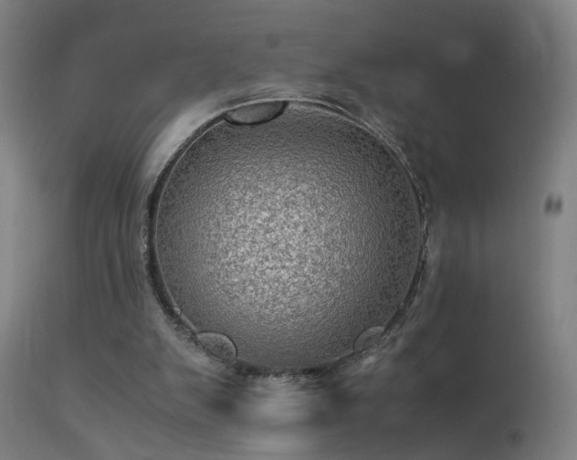 X0000113330103200909211229