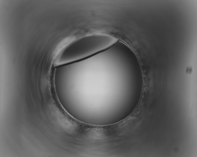 X0000113330104200909211229