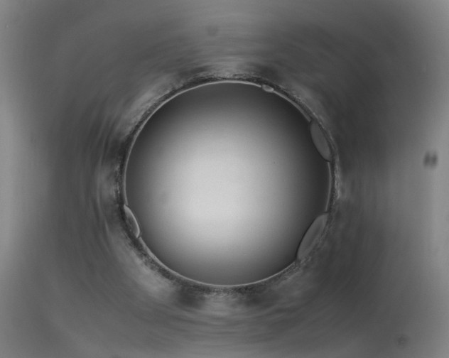 X0000113330105200909211229