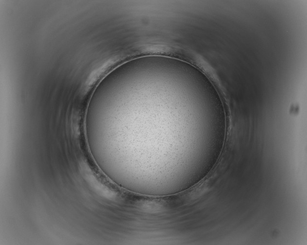 X0000113330106200909211229