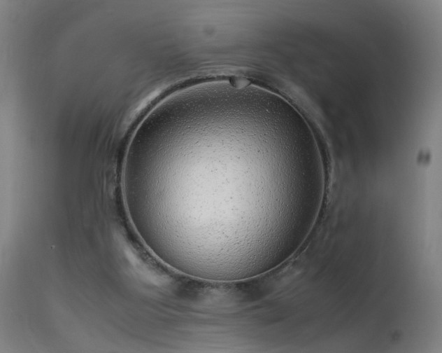 X0000113330107200909211229