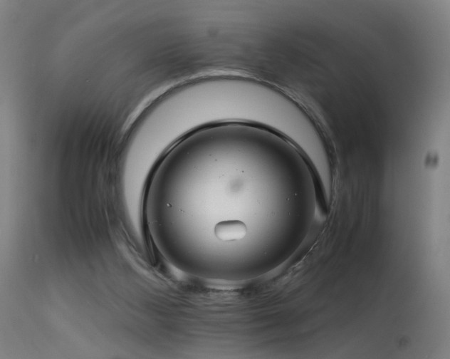 X0000113330108200909211229