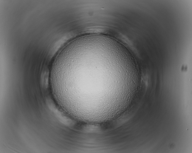X0000113330110200909211229