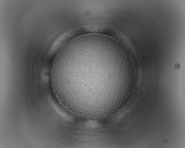 X0000113330114200909211229