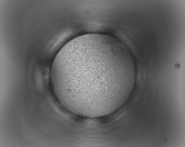 X0000113330115200909211229