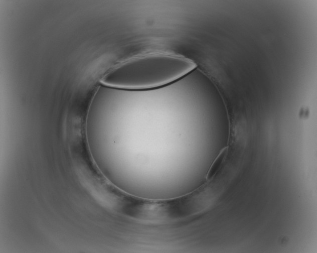 X0000113330117200909211229