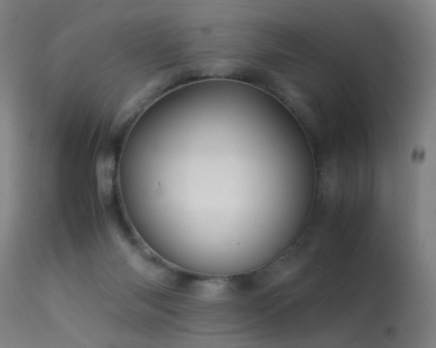 X0000113330118200909211229