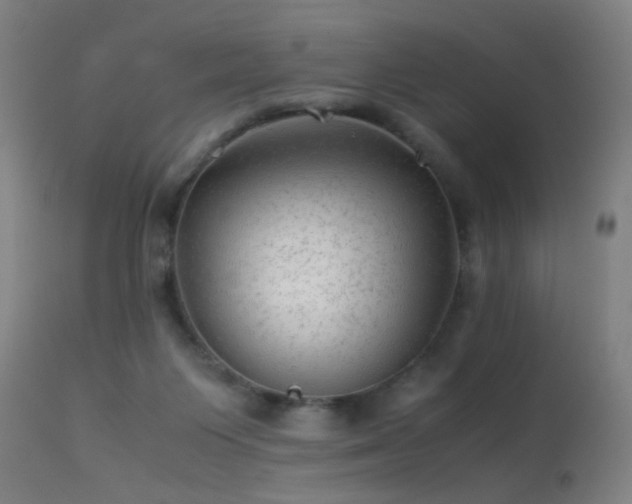 X0000113330119200909211229