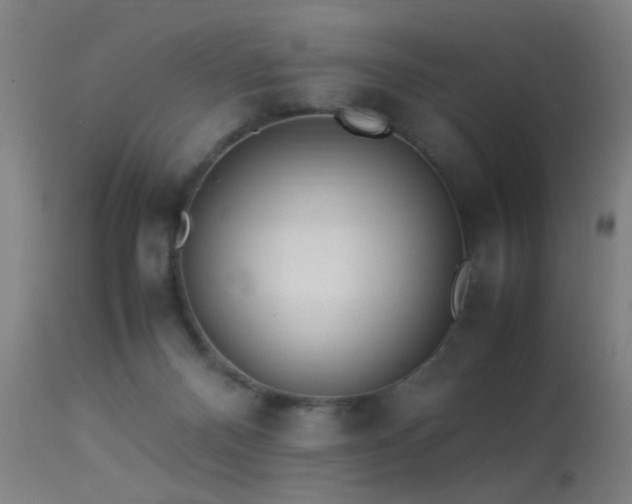 X0000113330120200909211229