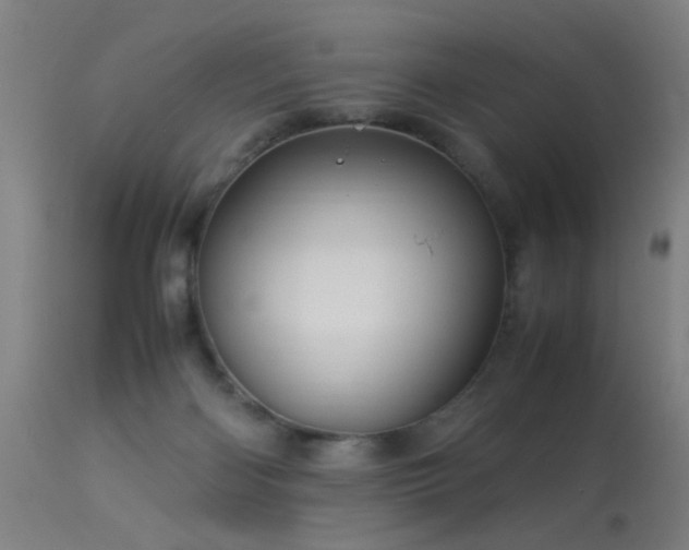 X0000113330122200909211229