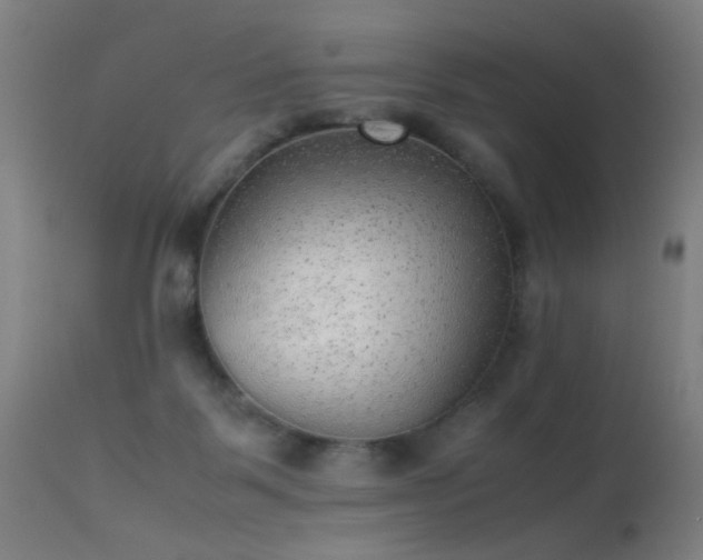 X0000113330123200909211229