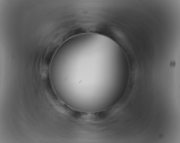 X0000113330125200909211229