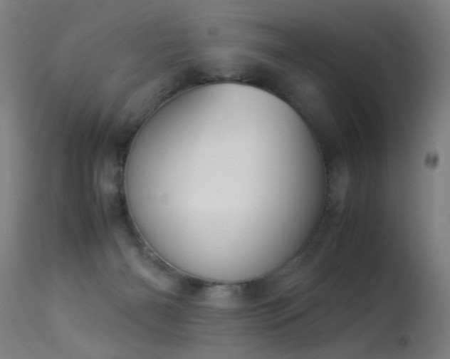 X0000113330126200909211229