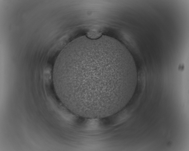 X0000113330127200909211229