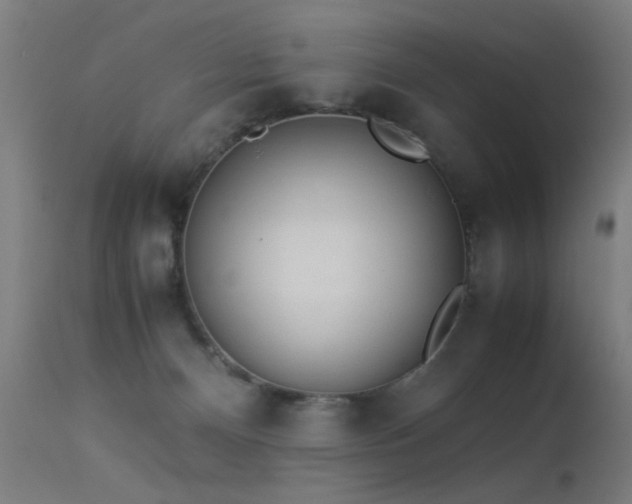 X0000113330128200909211229