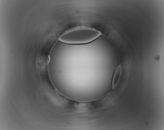 X0000113330129200909211229