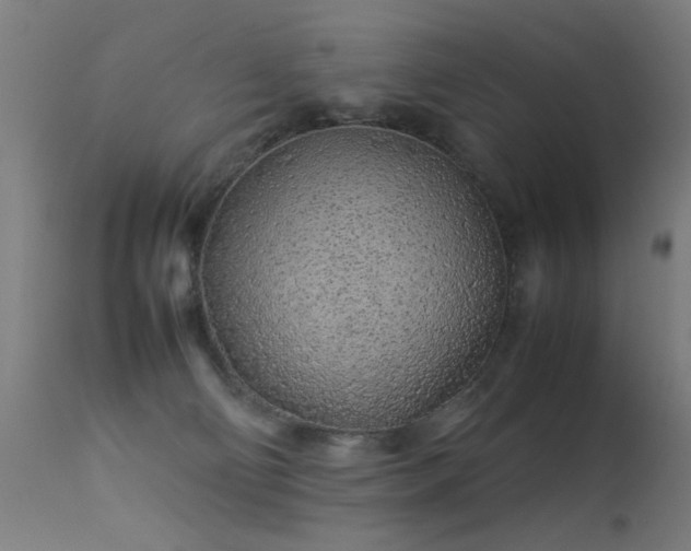 X0000113330130200909211229