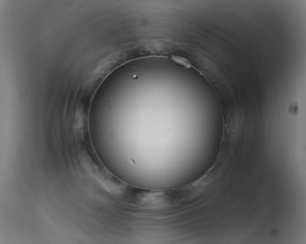 X0000113330132200909211229