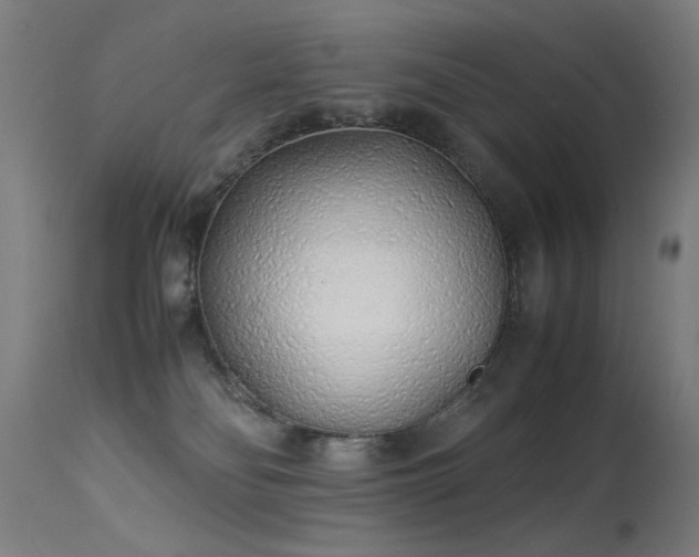 X0000113330134200909211229