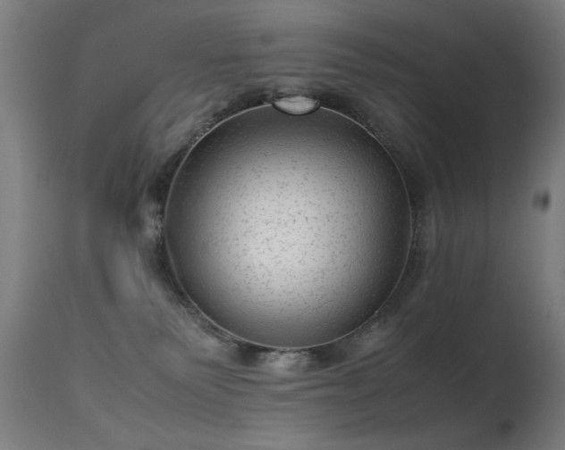X0000113330135200909211229