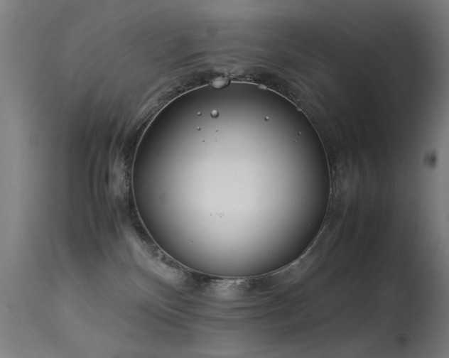 X0000113330136200909211228