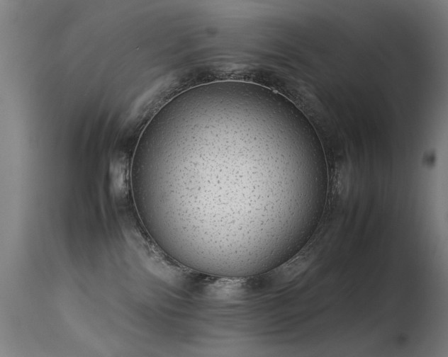 X0000113330138200909211228