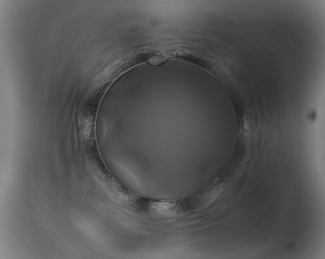 X0000113330139200909211228