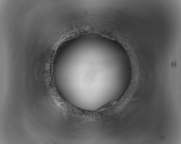 X0000113330144200909211228