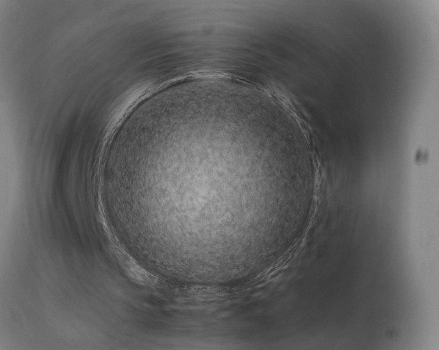 X0000113330145200909211228