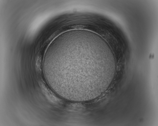 X0000113330146200909211228