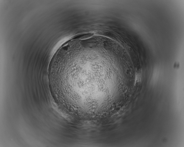 X0000113330147200909211228