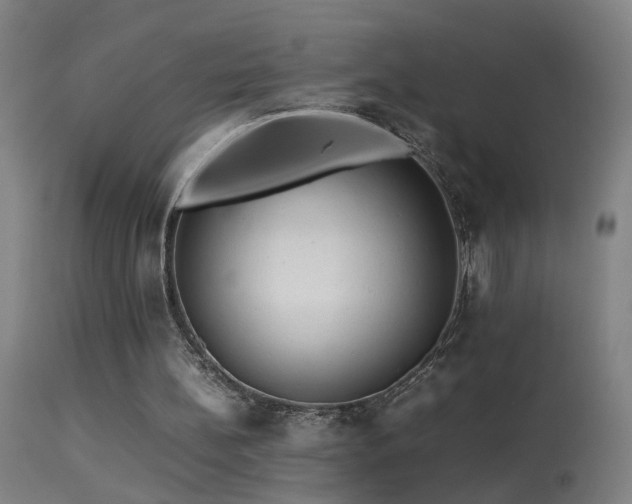 X0000113330148200909211228