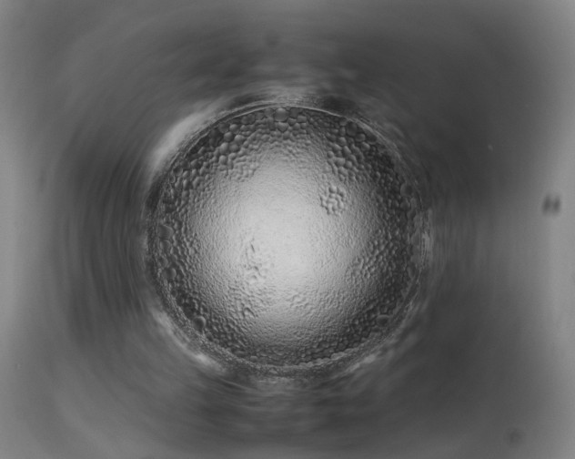 X0000113330149200909211228