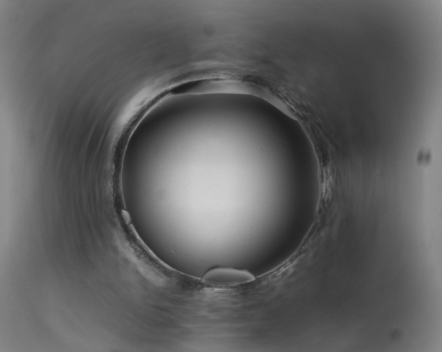 X0000113330150200909211228