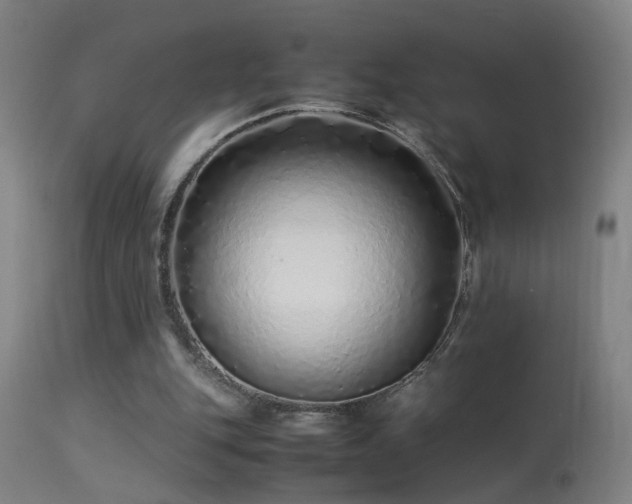 X0000113330151200909211228