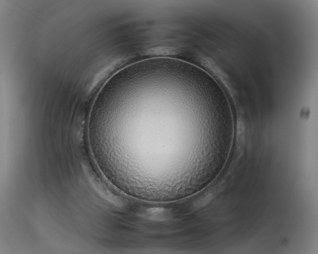 X0000113330153200909211228