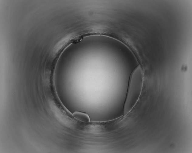 X0000113330154200909211228
