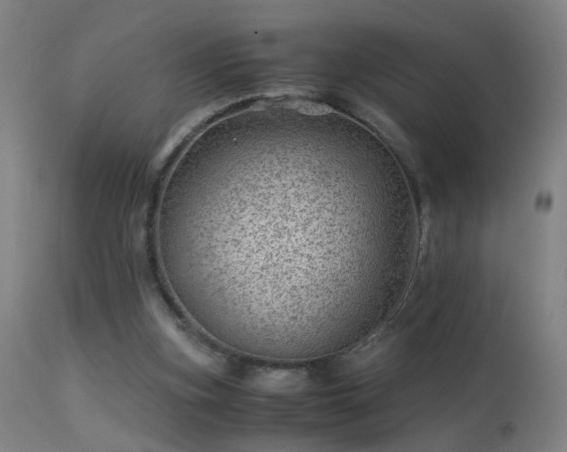 X0000113330155200909211228