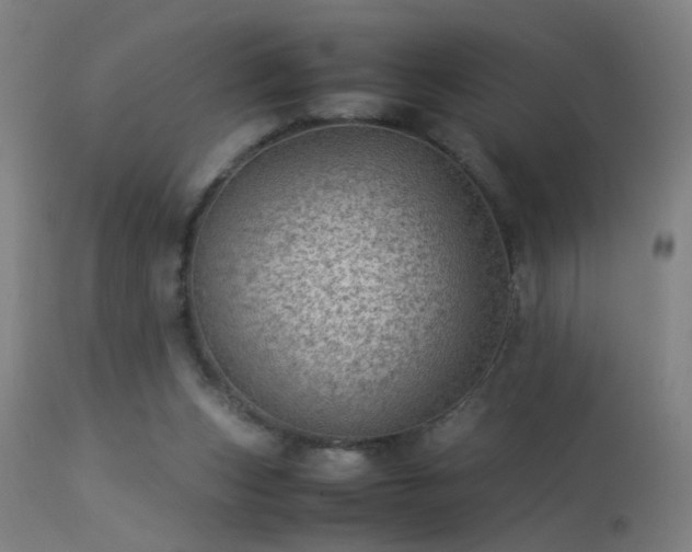 X0000113330159200909211228