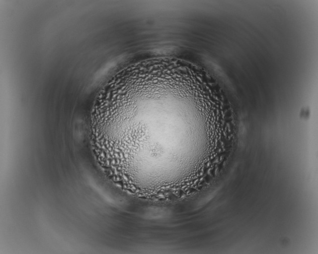 X0000113330161200909211228