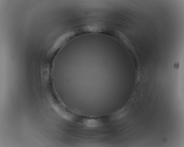 X0000113330163200909211228