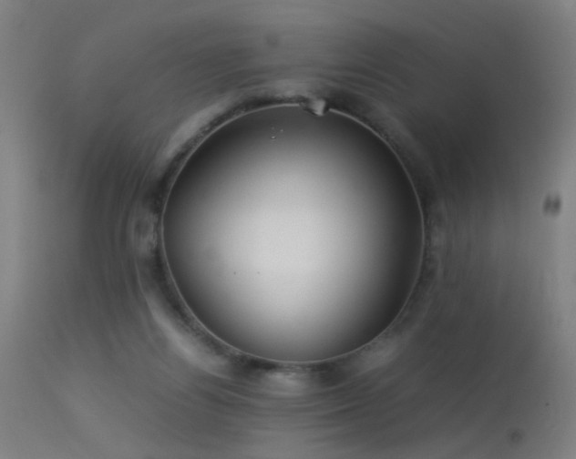 X0000113330164200909211228