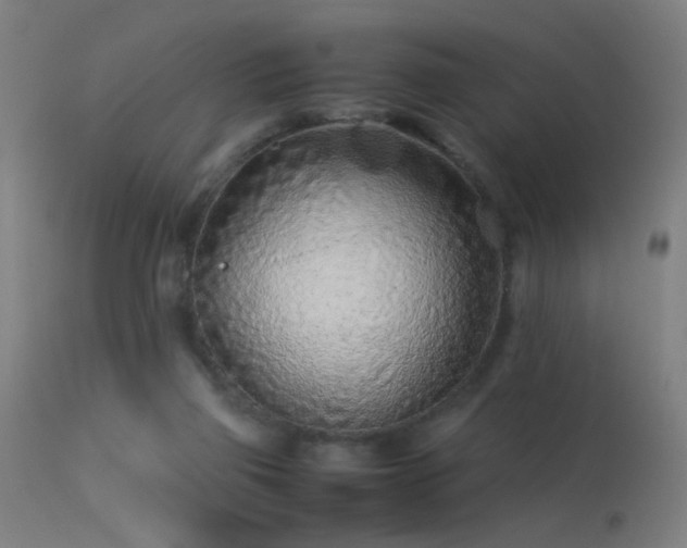 X0000113330165200909211228