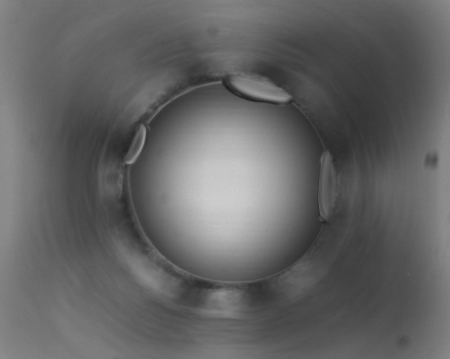 X0000113330168200909211228