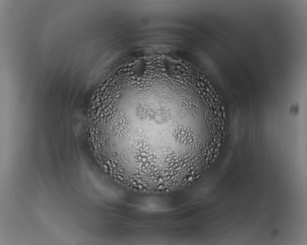 X0000113330169200909211228