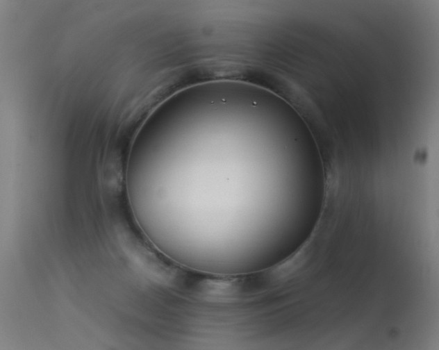 X0000113330170200909211228