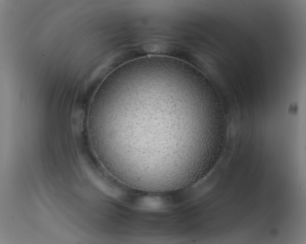 X0000113330171200909211228