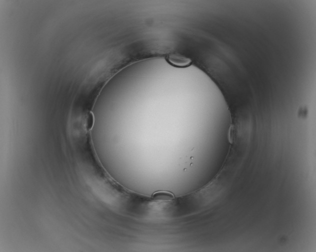 X0000113330172200909211228