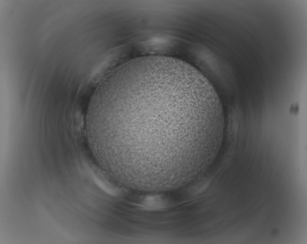 X0000113330173200909211228