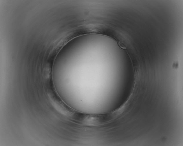 X0000113330174200909211228